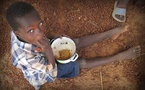 UN predicts food shortages for 50 million people worldwide due to El Niño