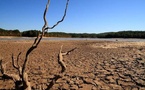 France expects multi-billion-euro drought losses