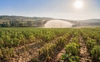 Europe’s Drought Crisis Is Forcing Farms To Adapt to Rising Heat and Water Scarcity
