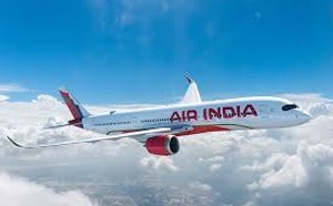 Air India Disaster Revives Calls for Cockpit Video Recorders