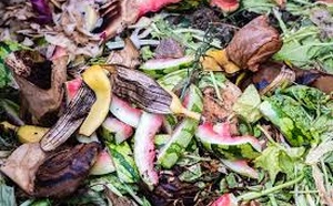 Advance Commitments Push Biowaste Carbon Removal Toward Commercial Scale