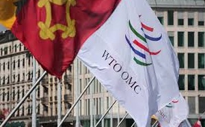 WTO expects global GDP growth to slow to 2.8% in 2026 in its baseline scenario