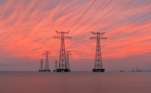 Why Companies See Electrification as an Economic Advantage