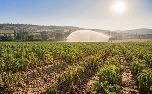 Europe’s Drought Crisis Is Forcing Farms To Adapt to Rising Heat and Water Scarcity