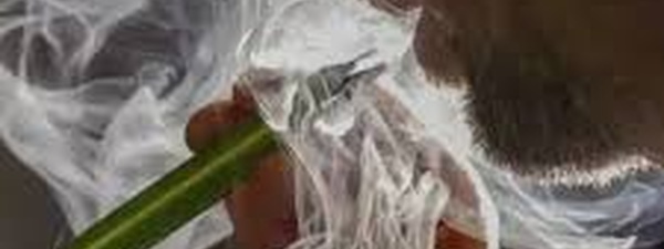 Stealth Networks Propel Flood of Unauthorized Chinese Vapes into U.S. Market