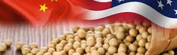 China’s Feed-Sector Weakness and Grain Stockpiles Weaken U.S. Soybean Outlook as Trade Normalization Alters Global Flows