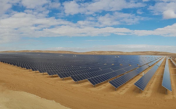 Building the Shield: Private Companies on the Frontlines of Energy Sovereignty