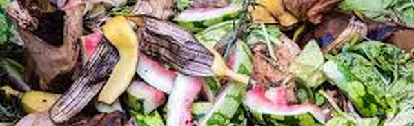 Advance Commitments Push Biowaste Carbon Removal Toward Commercial Scale