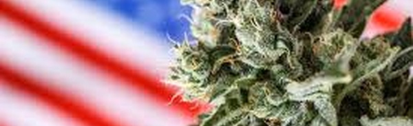 US Federal Reclassification Reshapes Cannabis Economics but Leaves Consumer Reality Largely Unchanged