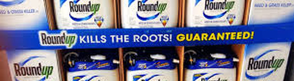 Bayer shares rise on US Supreme Court decision to hear herbicide case