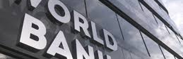 Overreliance on Protectionism Undermines Industrial Ambitions Across Developing Economies