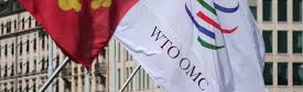 WTO expects global GDP growth to slow to 2.8% in 2026 in its baseline scenario