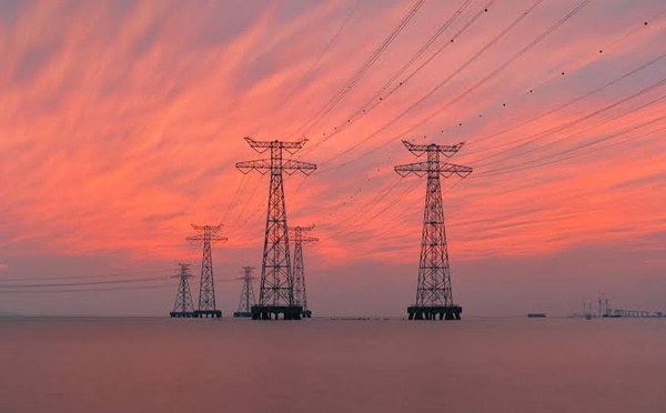 Why Companies See Electrification as an Economic Advantage