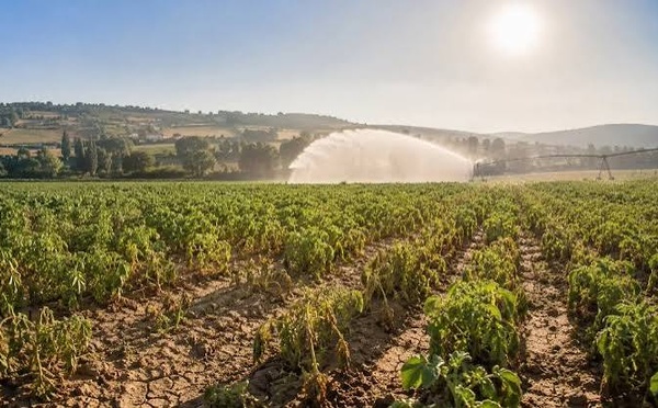 Europe’s Drought Crisis Is Forcing Farms To Adapt to Rising Heat and Water Scarcity