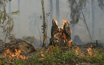 Spanish authorities call forest fires in the country one of the biggest disasters in recent years